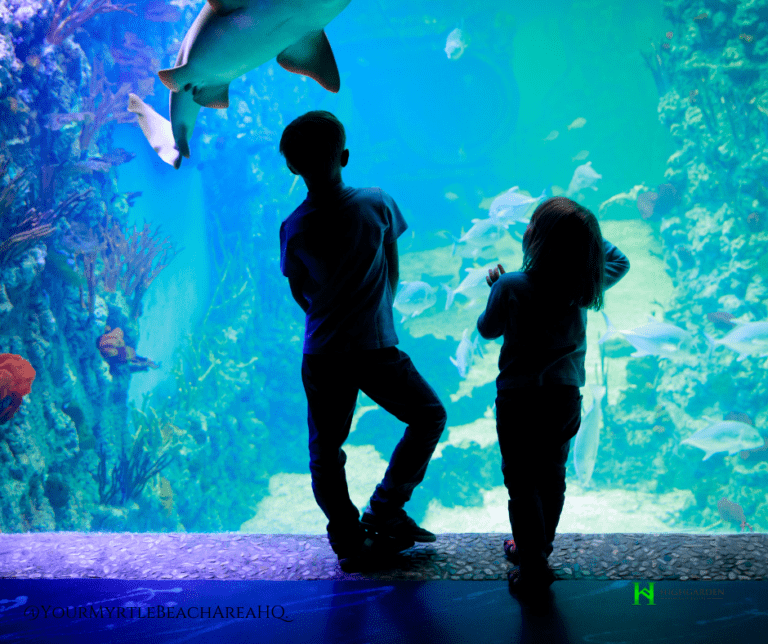 Ripley’s Aquarium Myrtle Beach